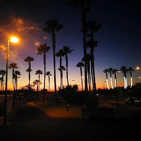 Travelingdays Iris Ferienhaus Palm-mar